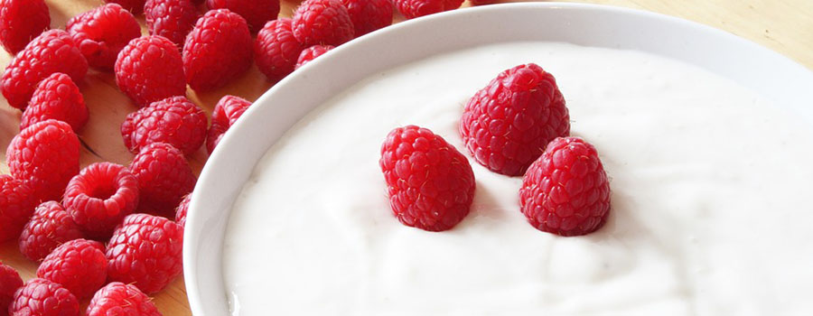 DSM launches stirred yogurt culture